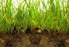 Mulgravesub-soil-drainage-6.jpg; ?>
